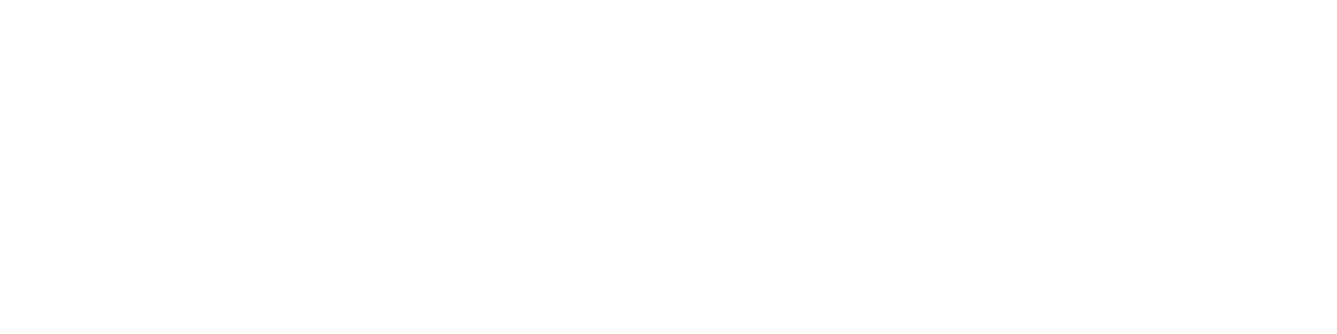 Brivalo Logo