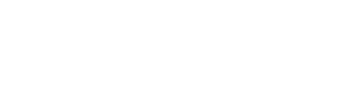 Logo Digitale Gründerinitiative Oberpfalz DGO