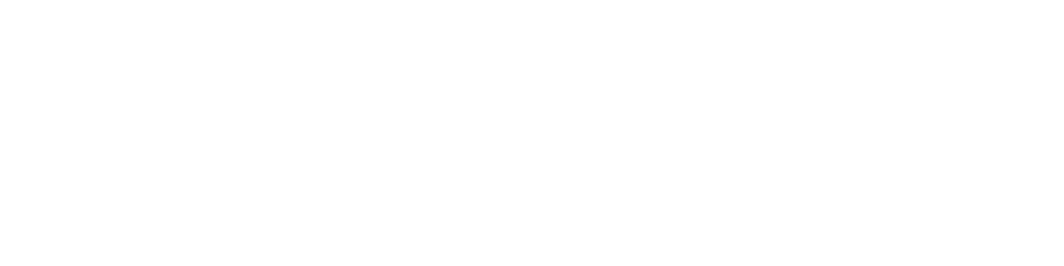 logo nfdi